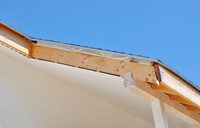 Garage Fascia Repair in Alpharetta, GA