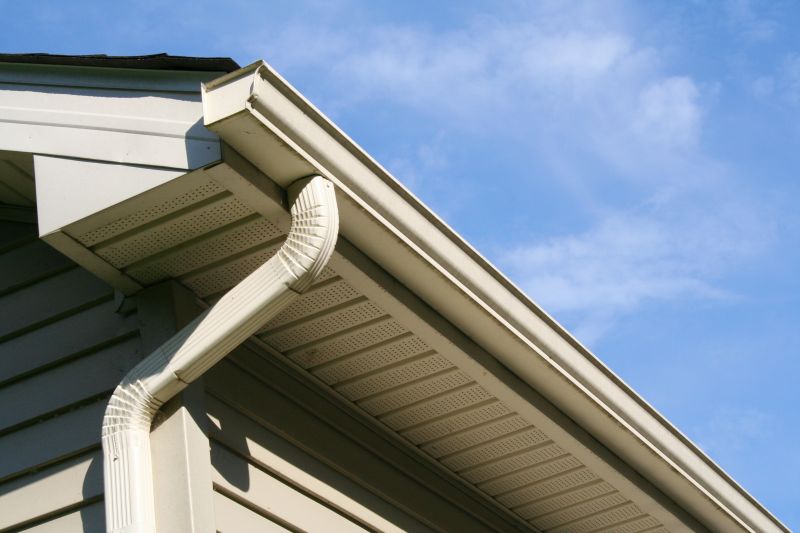 Porch Ceiling Replacement in Overland Park, KS