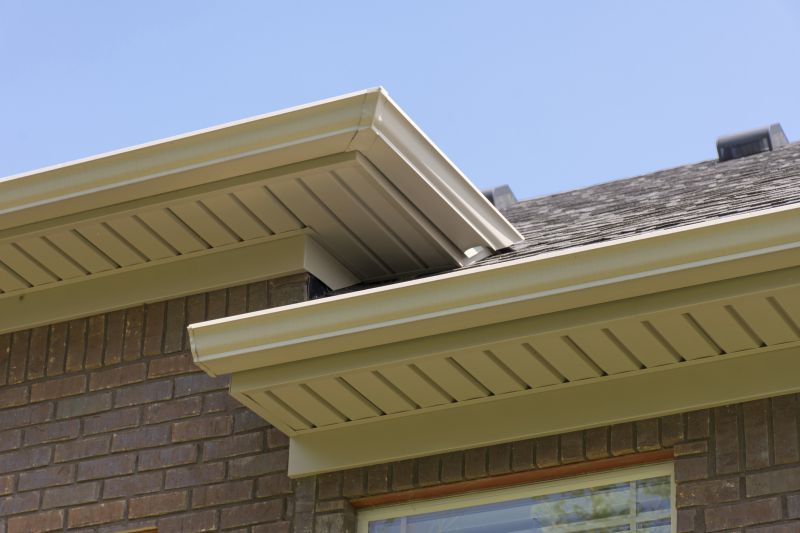 Vinyl Molding Repair in Conroe, TX