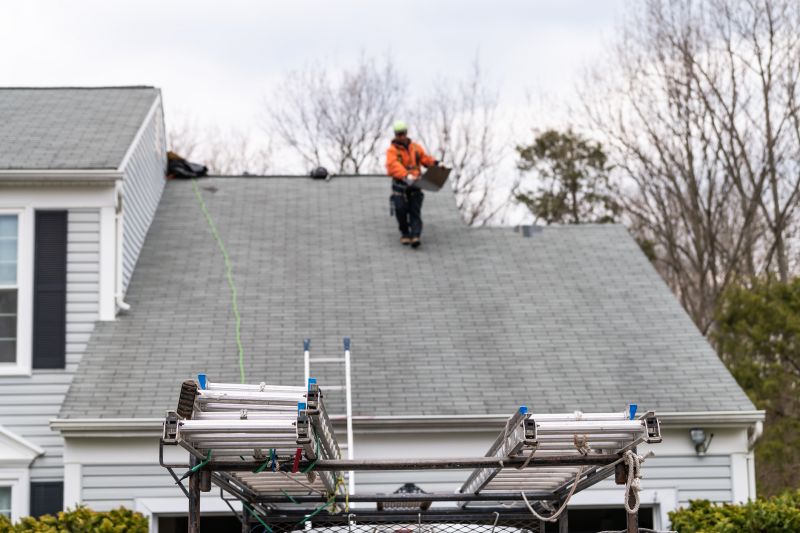 Professional Roofing Contractor